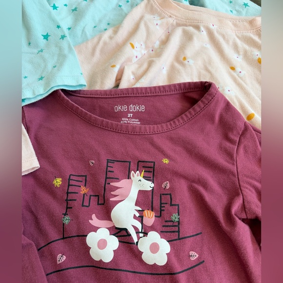 Lot of 3 long sleeve girls’ tees, 2T, GUC - Picture 9 of 11
